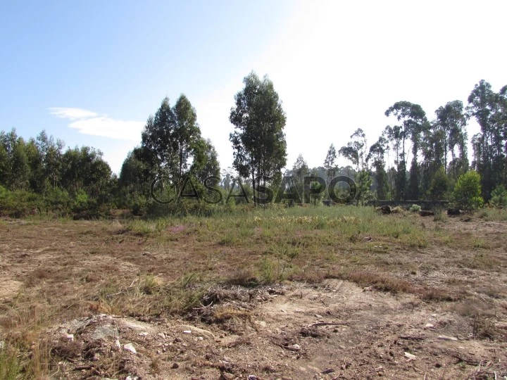 Terreno para comprar em Esposende