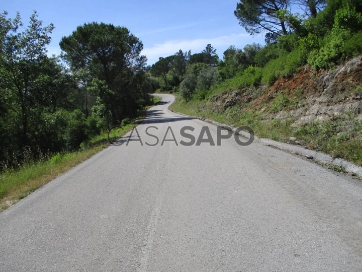 Terreno no Bom Velho