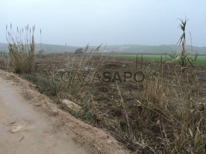 Terreno Rústico para comprar em Torres Vedras